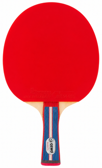 GEWO Bat Standard Pro