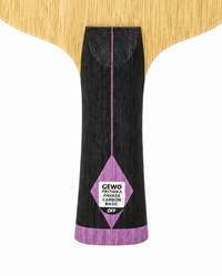 GEWO Prithika Pavade Carbon Basic - Handle
