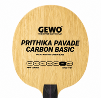 GEWO Prithika Pavade Carbon Basic - Head