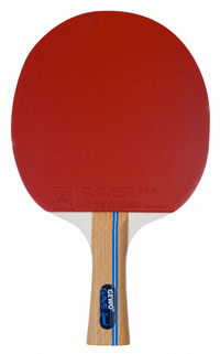 GEWO Rave Speed Spin Oriented – Table Tennis Racket Set - Forehand