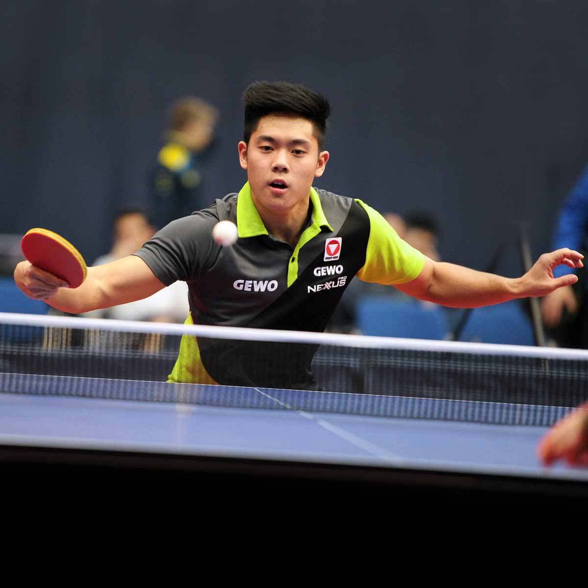 GEWO Shirt Ravello - For Training, Competition & Casual Wear